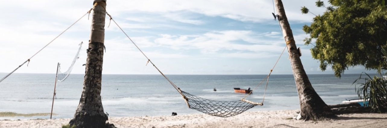 tut’ tut’ banner