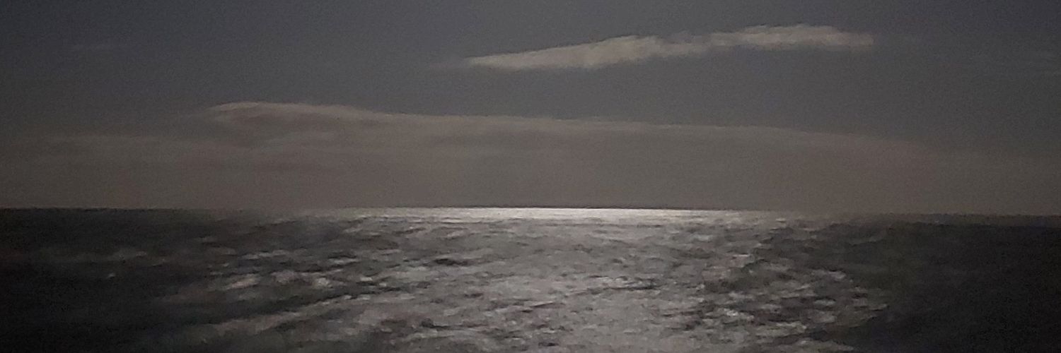 isinm's profile banner image