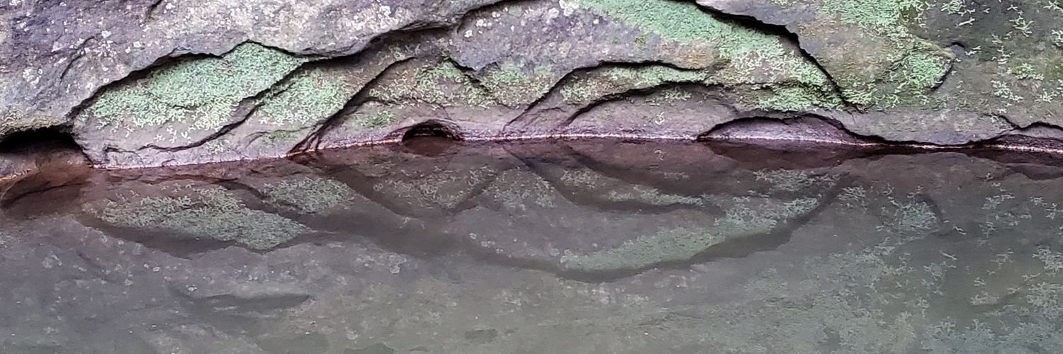 Garrettroph's profile banner image