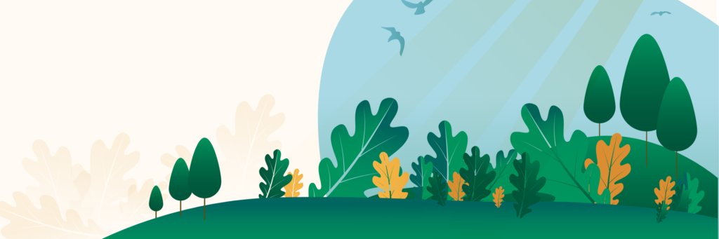 Rehab Without Walls banner