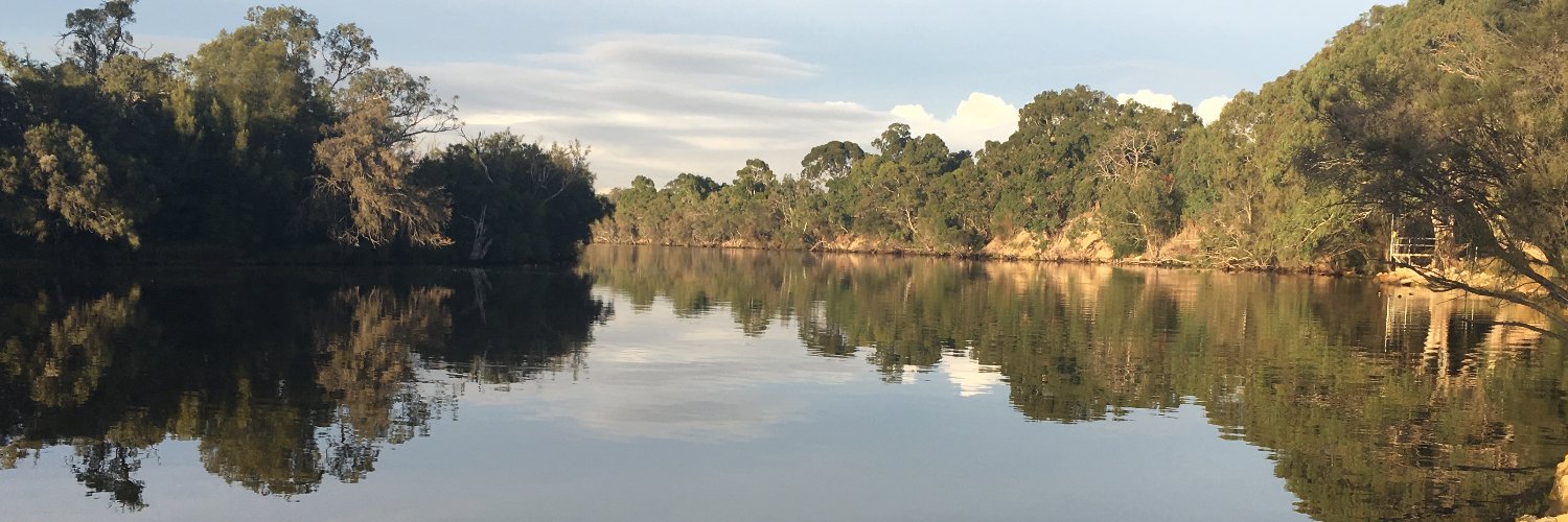 bevjohnsonau's profile banner image