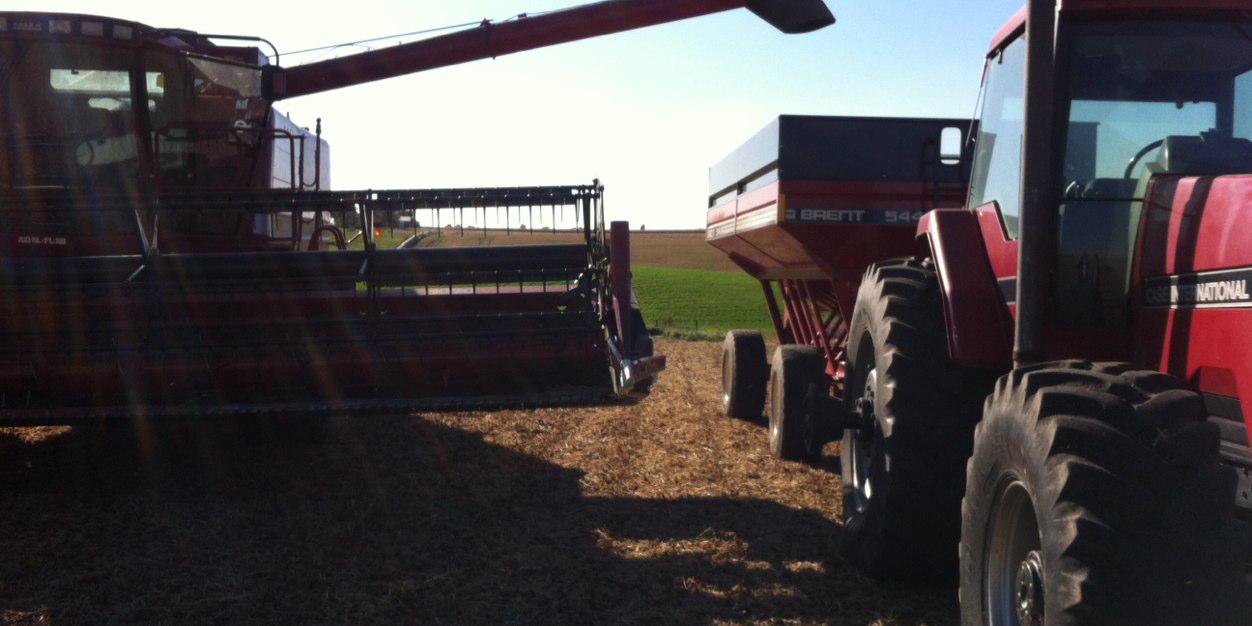 michelle shriver banner