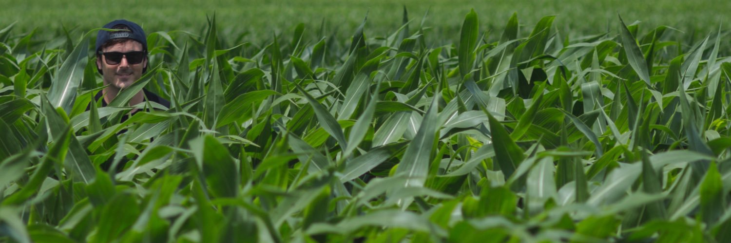 Mike Fede banner