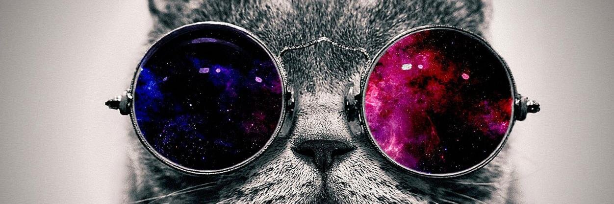 MaraMusmeci's profile banner image