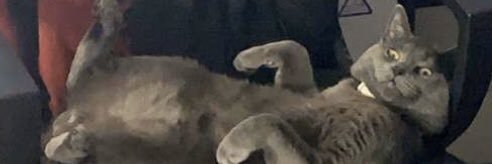Tanner_Botts's profile banner image