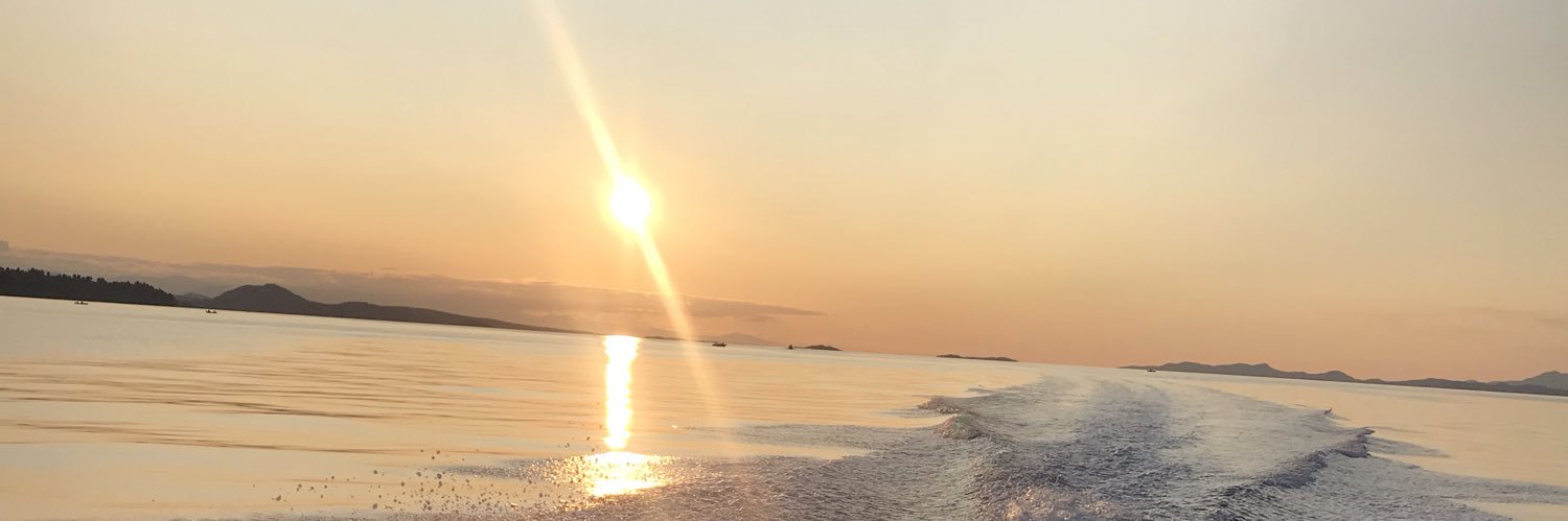 M_adeleineR's profile banner image