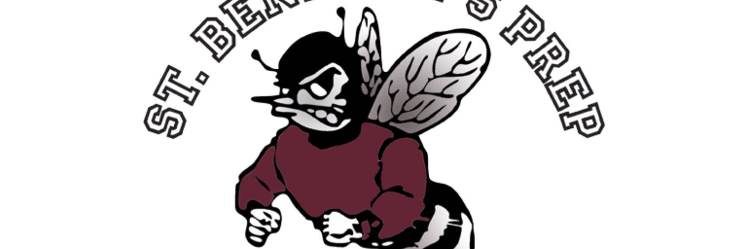 SBPGrayBees's profile banner image