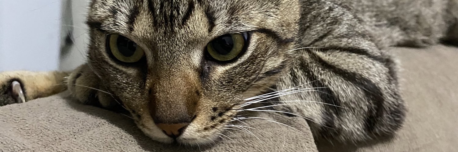 jottappe_'s profile banner image