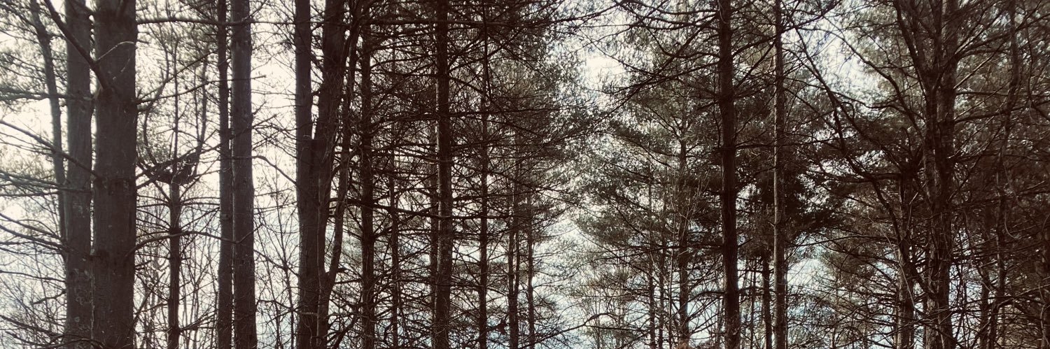 jbrewww's profile banner image