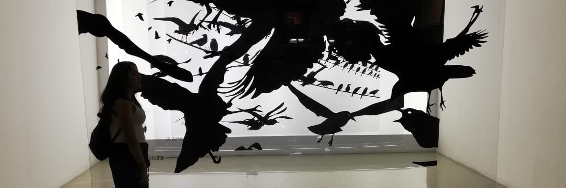 dalu26's profile banner image