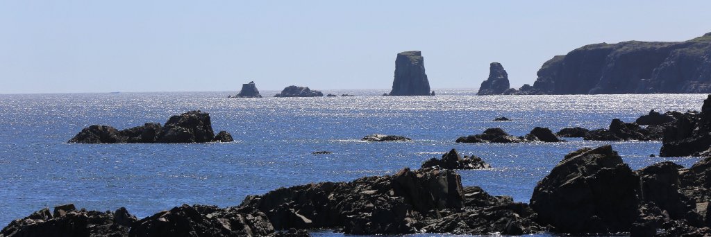 Crypto for Freedom🍁 banner