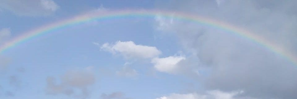 dayanisssm's profile banner image