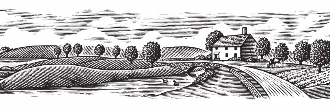 thecottagect's profile banner image