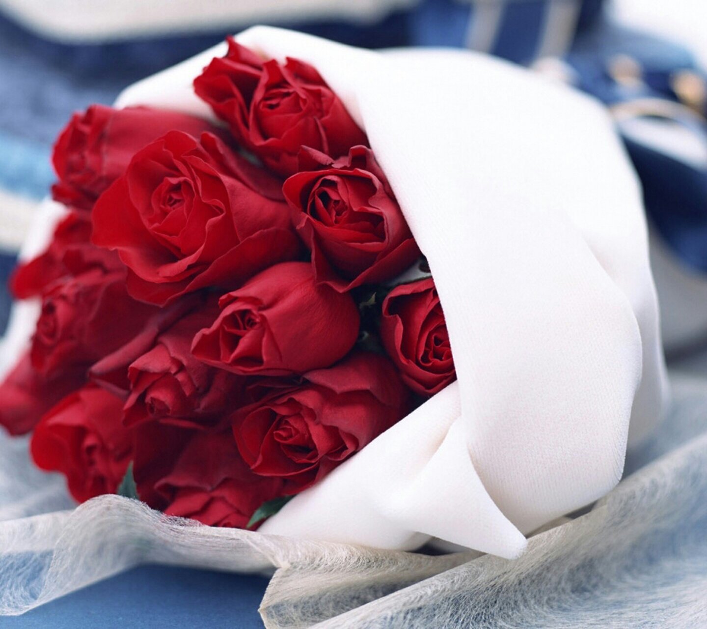 dode_um's profile banner image