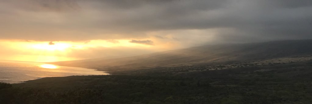 JaydeSills's profile banner image