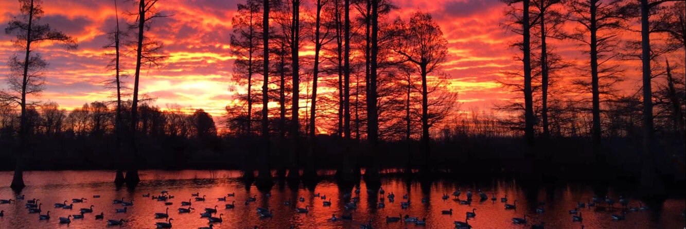 Jamie Woodson banner