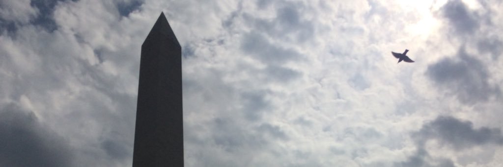 CaraDip1's profile banner image