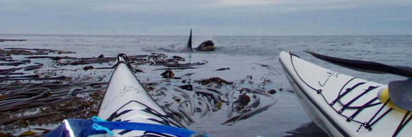 mmackmedia Profile Banner