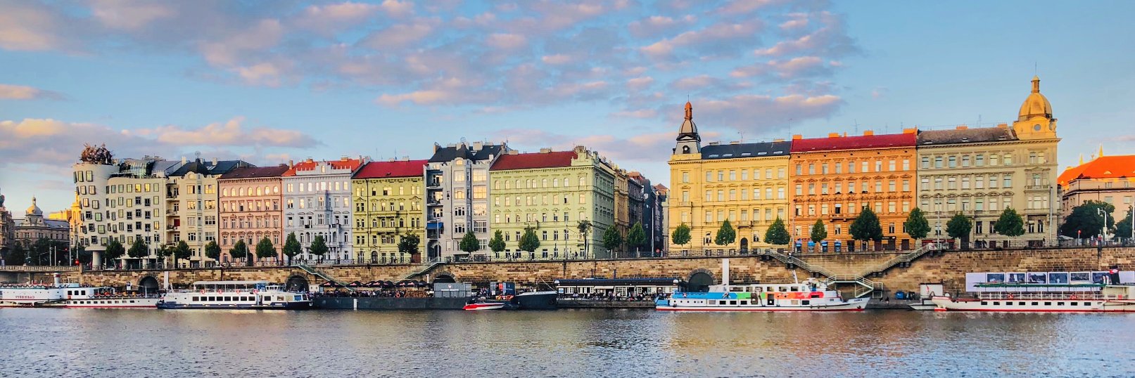 Hatoon M. Alamri banner