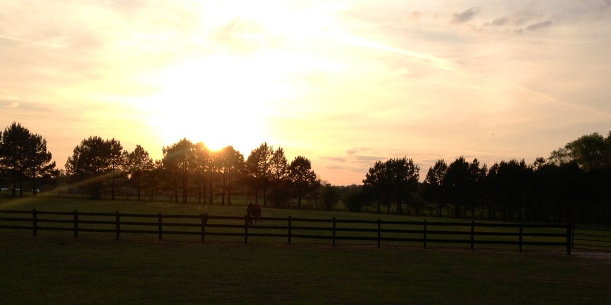lacirsmith7's profile banner image