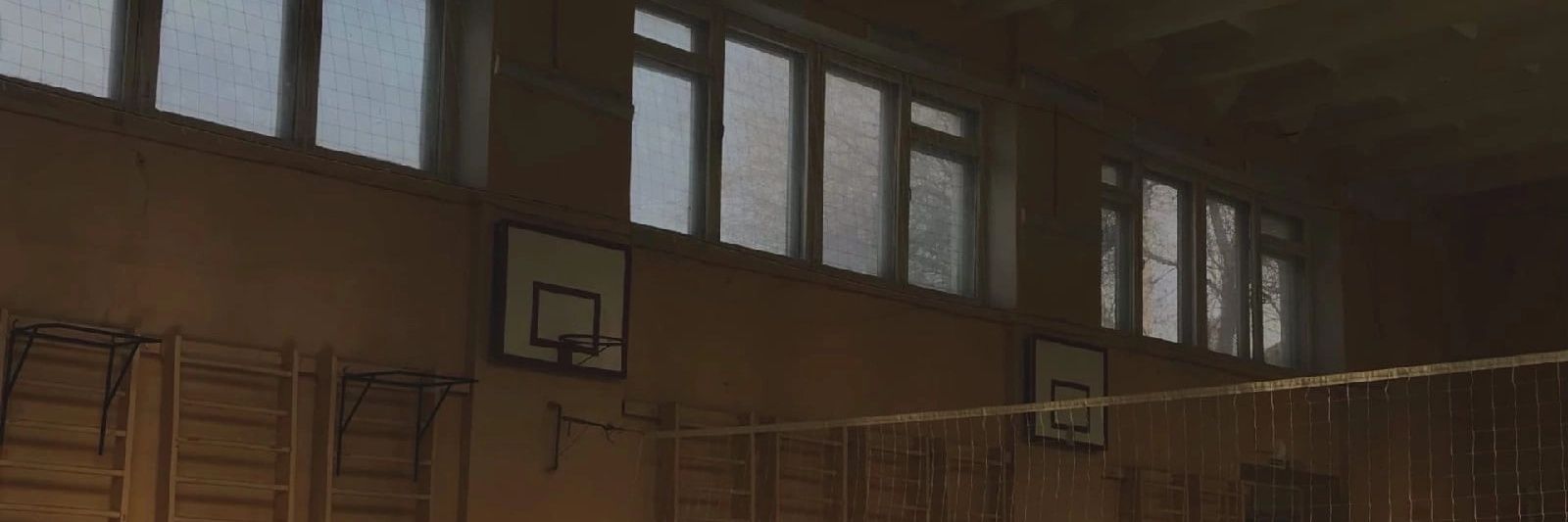 forest_noise's profile banner image
