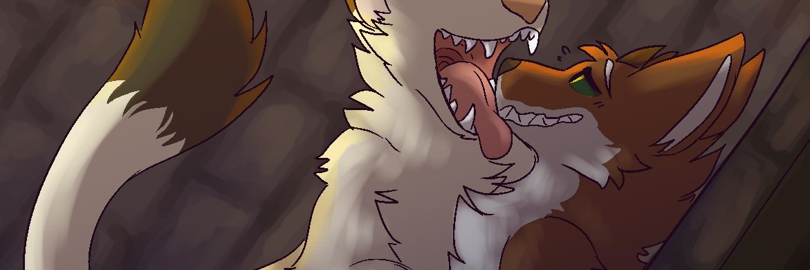 CoshiWoshi's profile banner image