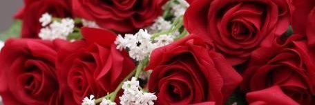 AhAlza8477's profile banner image