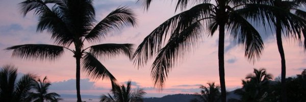Fijithegreat Profile Banner