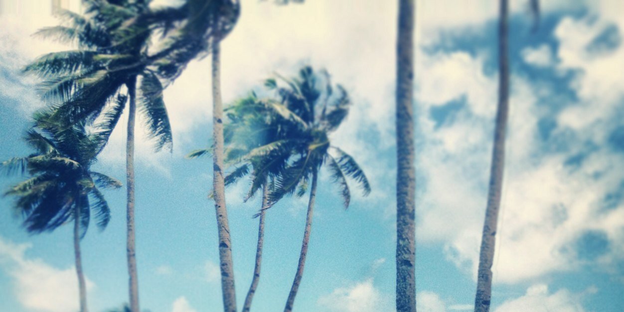 sonijohnnz's profile banner image