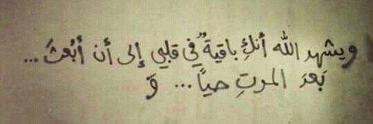mostafashabbab1's profile banner image
