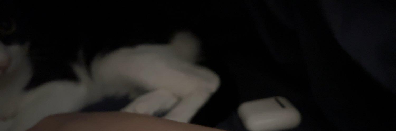 alba9393's profile banner image