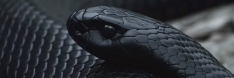 kitoskis's profile banner image