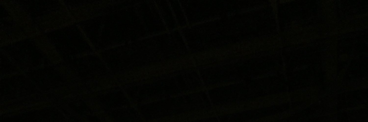 feIIforitwice's profile banner image