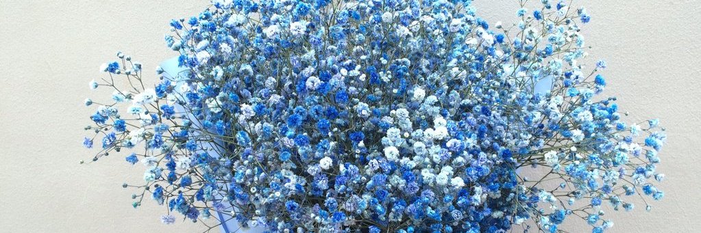 AhnMinAh_'s profile banner image