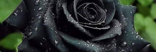 DatChix_AJ's profile banner image