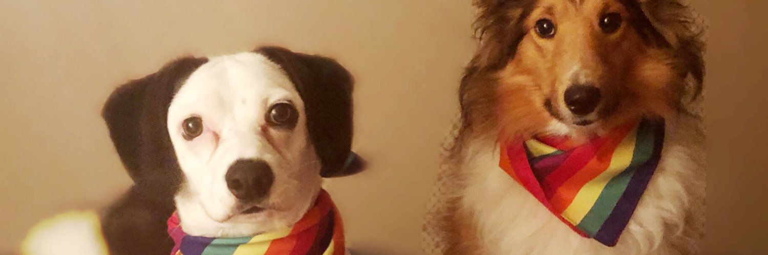 pattiyunk's profile banner image
