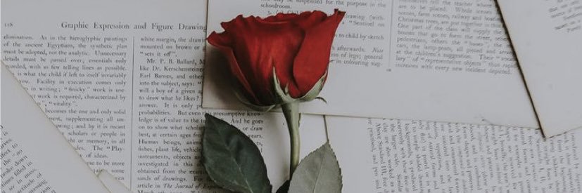 julicolombo_'s profile banner image