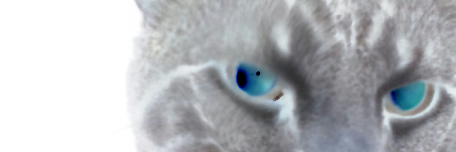 merlinm46's profile banner image