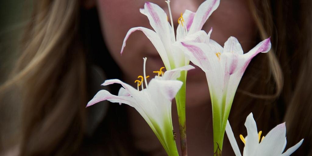 Halaina_k's profile banner image