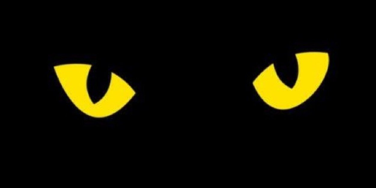 creisengo's profile banner image
