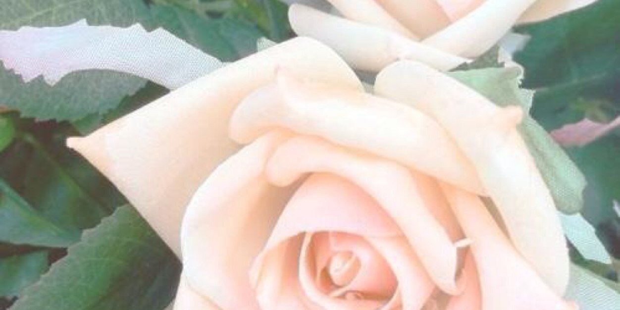 torbeardshaw's profile banner image