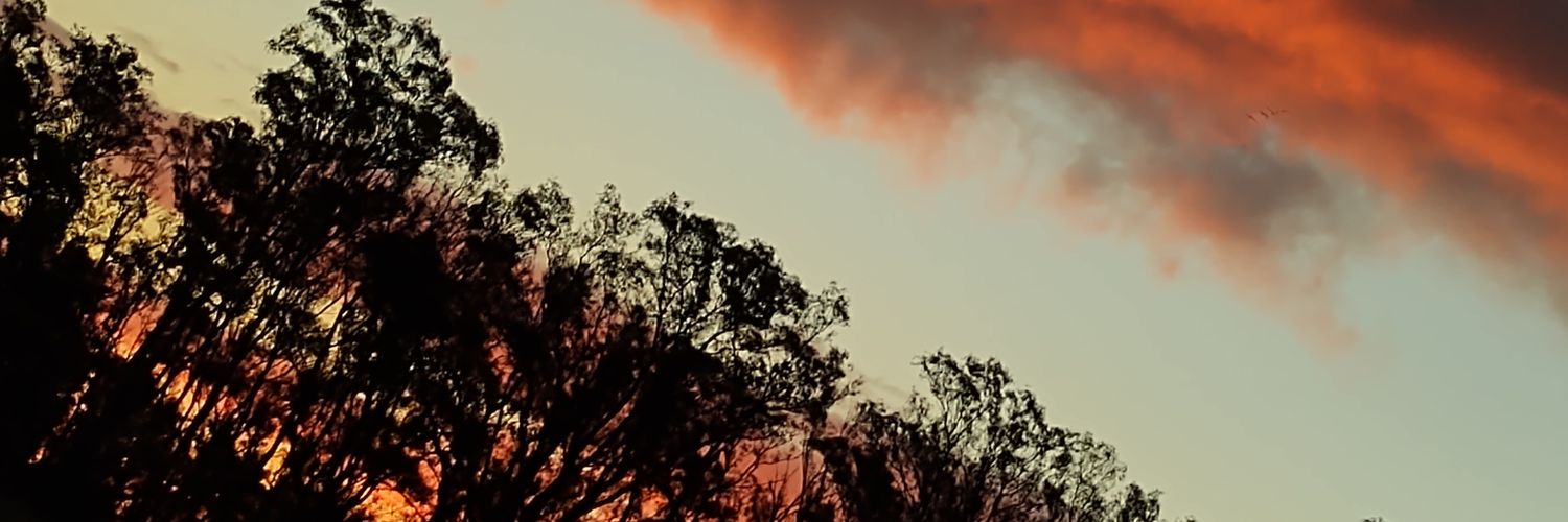 MaraSansy's profile banner image
