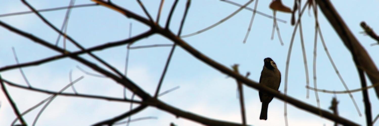 joedmayo's profile banner image
