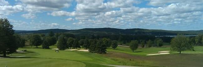 Brandon McAfee banner