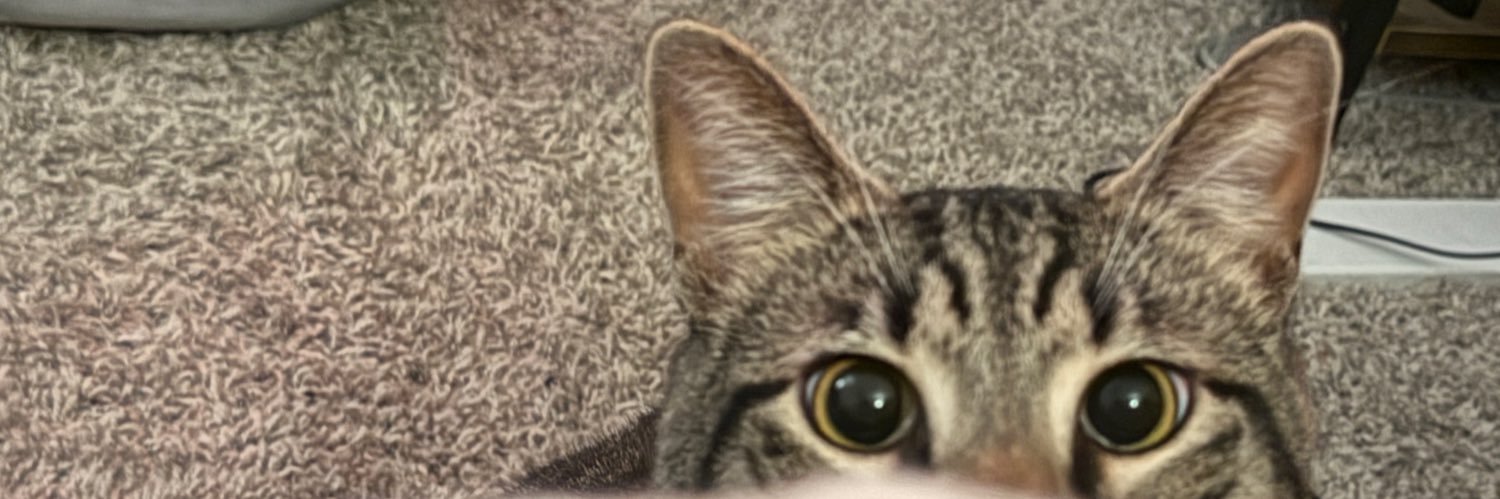 nelssoonnn's profile banner image