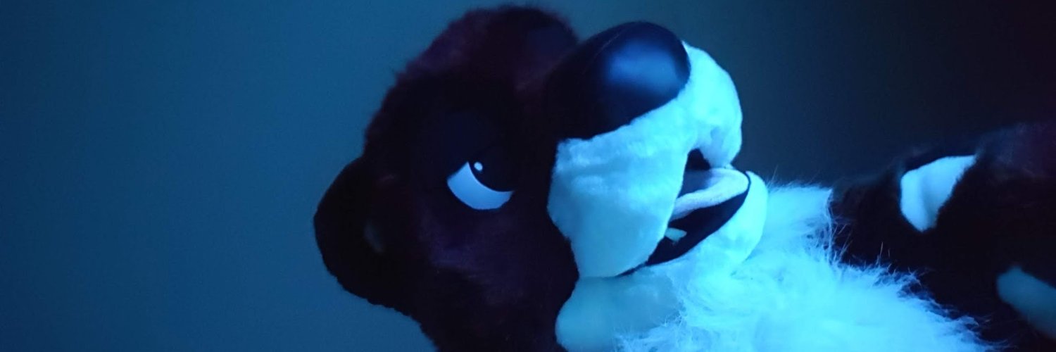 SushiOtter's profile banner image