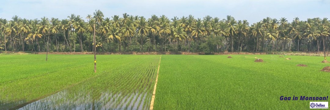 Online -- Goa banner