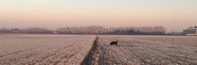 ozzipadnil's profile banner image