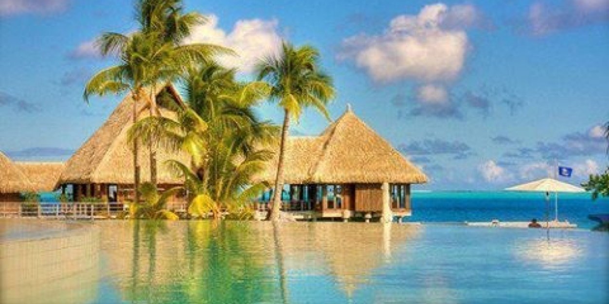 Netti T banner