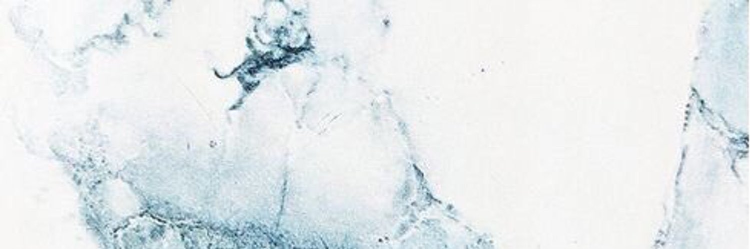 95xstore banner